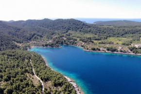 Holiday house Ivko - Korcula